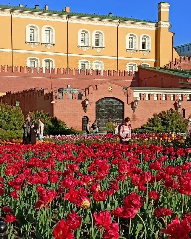 сады москвы 2023