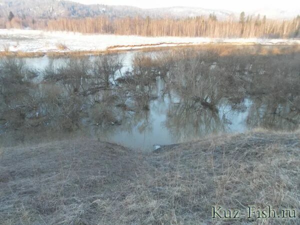 Уровень воды в реке чумыш. Река Сары-Чумыш. Усть Чумыш рыбалка.