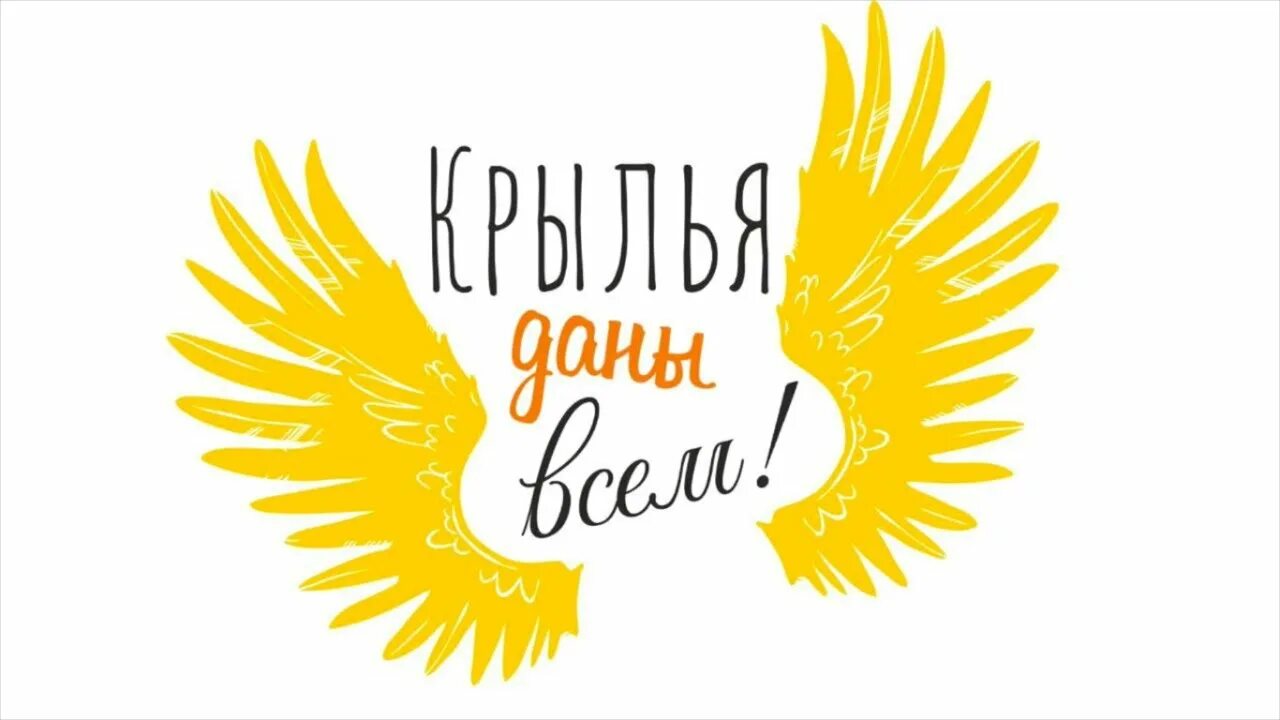 Крылья девиз. Слоган крылья. крылья творчества. лозунг к крыльям.