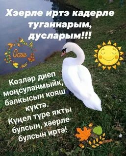Хэерле иртэ картинки зимние свежие