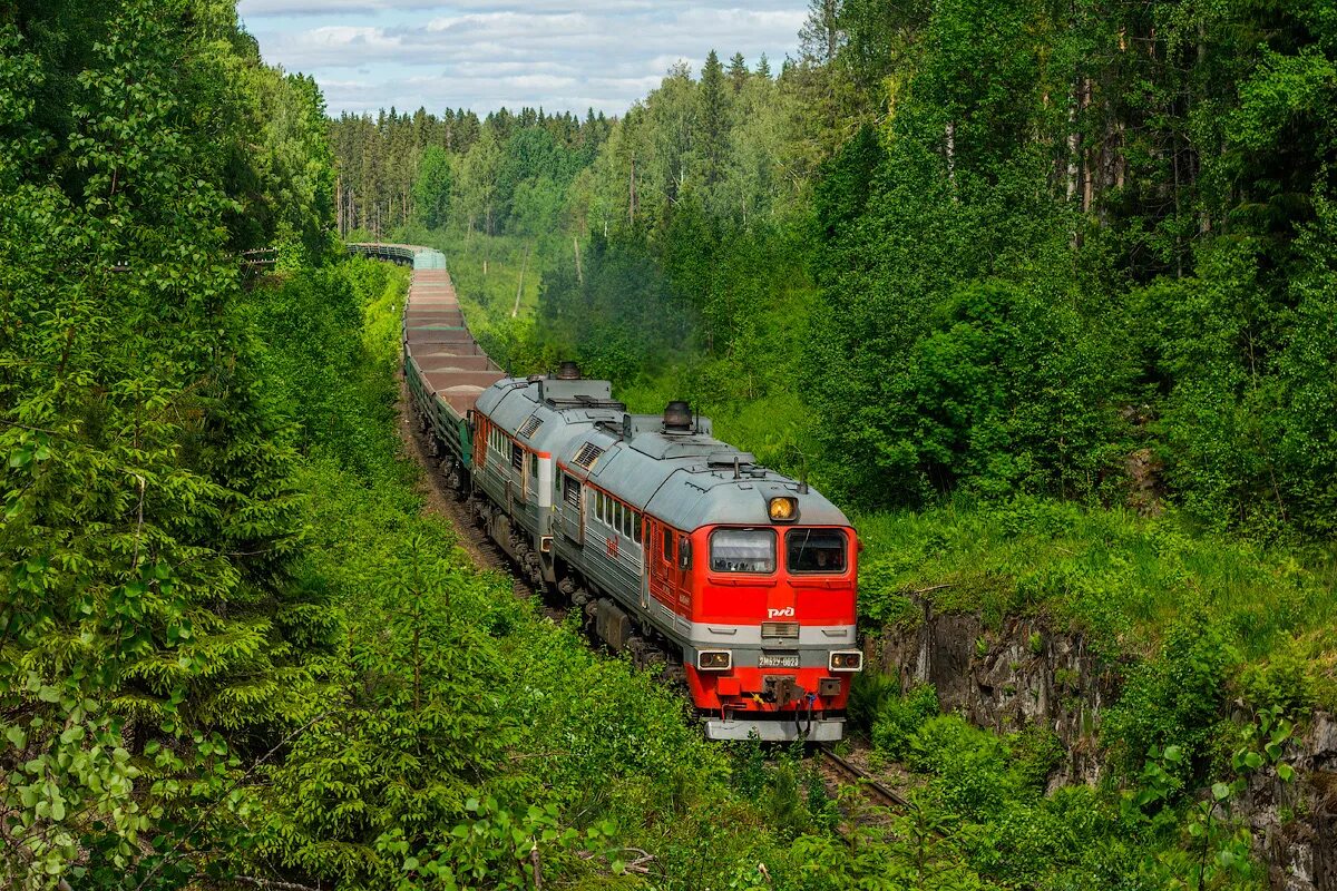 Поезд лодейное. Карельская железная дорога. Поезд орлан лодейное поле сортавала. Поезд лодейное. Пассажирский поезд.