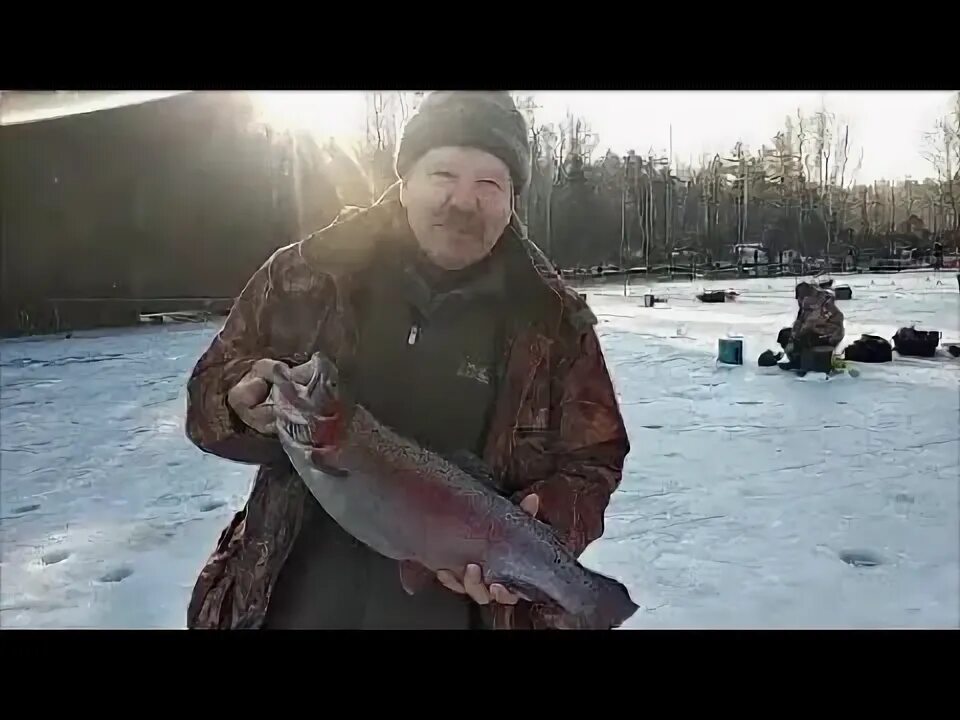 Клёвое место лосиный. Лосиный остров форель. Лосиный остров рыбалка платная. Спиннинг осетр. Усадьба благодать астрахань.