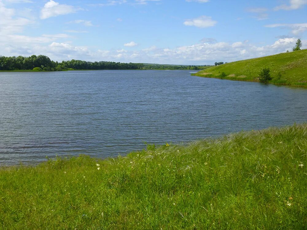 Красноселово Кстовский район пруд. Деревня Красноселово Кстовский район Нижегородская область. Владимировка Кстовский район озеро. Большое Мурашкино озеро. Участок деревня озера