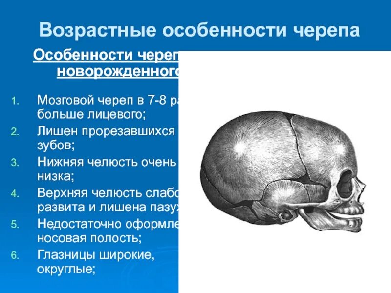 Соединения костей черепа. Возрастные особенности костей черепа.. Соединение костей черепа. Череп новорожденного.. Возрастные особенности черепа роднички швы. Роднички анатомия.