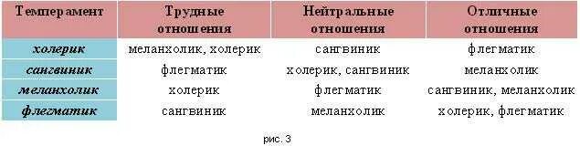 Какие темпераменты совместимы и почему
