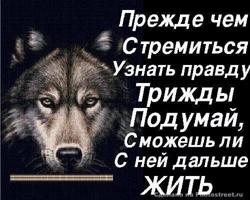 Как узнать правду говорит. Прежде чем стремиться узнать правду трижды. Знать правду. Прежде чем узнать правду. Прежде чем узнать правду подумай.