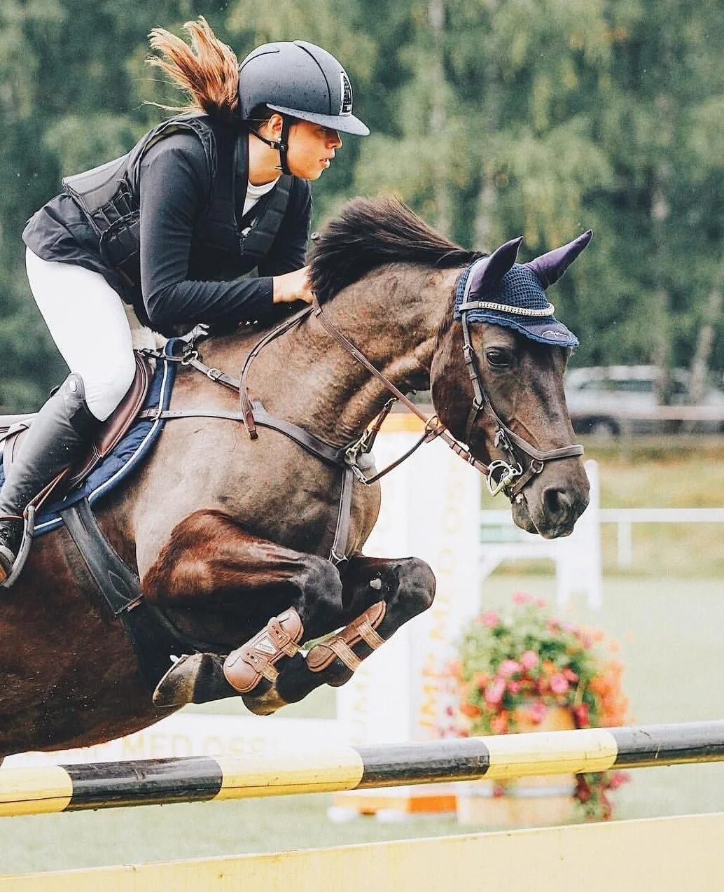 Horse sport. Кавалетти конный спорт. Битца верховая езда. Лошади. Конкур. Конный спорт.. Эстетика конного спорта конкур.