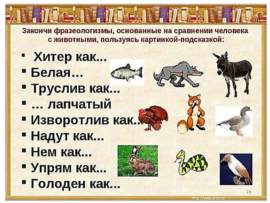 Зверь значение слова