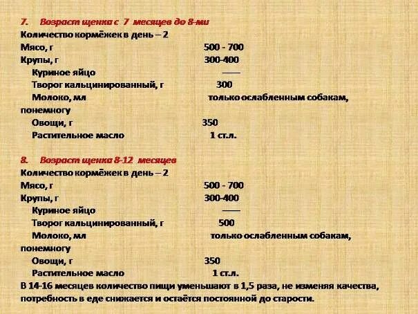 Сколько раз кормить щенка в 1 месяц. Рацион питания щенка немецкой овчарки 1.5 месяца. Меню питания щенков немецкой овчарки. Примерное меню для 2 месячного щенка немецкой овчарки. Рацион питания для щенка немецкой овчарки 2 месяца.