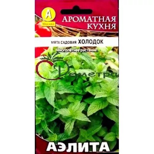 сорта мяты холодок. перец холодок /премиум сидс/ 10 шт. сорта мята холодок. перец сладкий юпитер f1. сорт перца алтайский плодовитый.