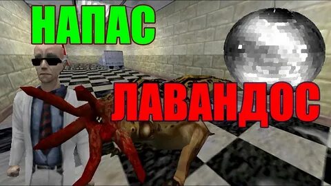 Напас лавандос