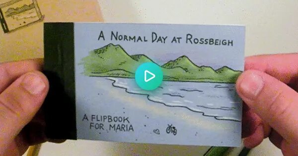 Flip animation