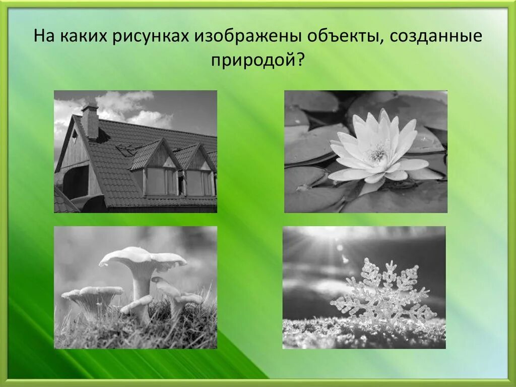 Объекты природы созданный человеком. Объекты созданные природой. Объекты созданные природой примеры. Объекты природы и предметы созданные человеком. Предметы созданные природой.