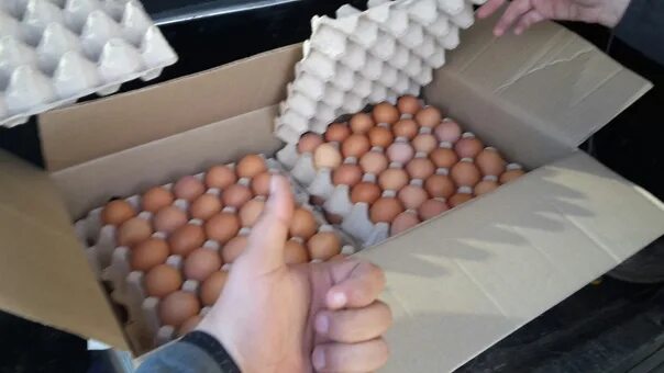 В каждой коробке по 100 яиц. Коробка для яиц. Яичная коробка большая. Яйца в коробке. Ячейки для яиц.