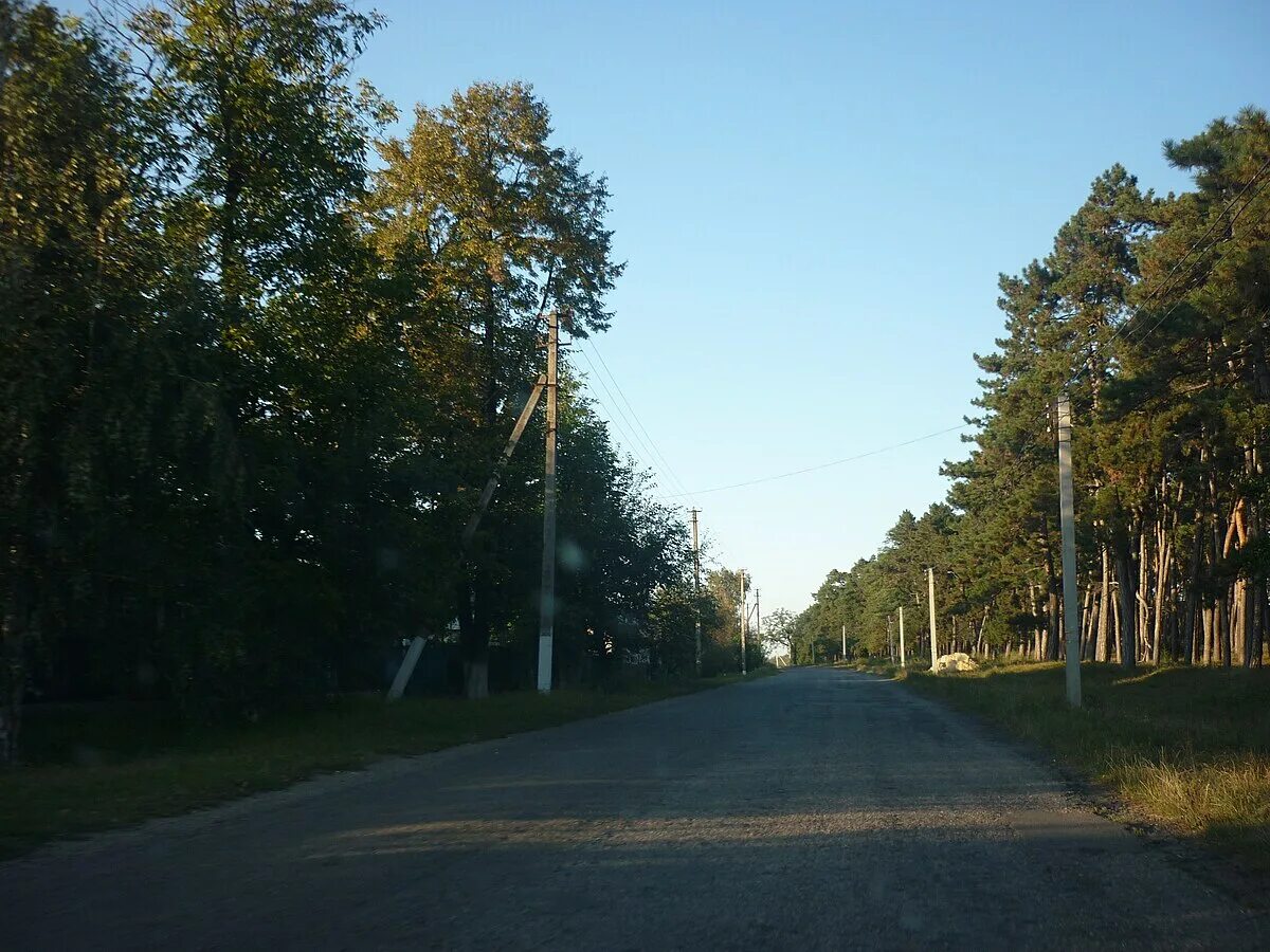 Село нова. Кировоградская Александровский район село новая осота. Украина Кировоградская область село Поселяновка. Старая осота. Кировоградская область с. Юхимово.
