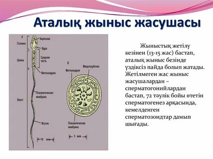 Fotostrana танысу сайтына кіру