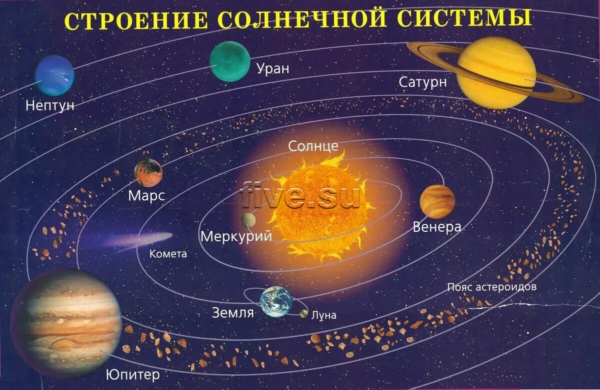 Сколько планет в пятерочке. Солнечная система с названиями планет. Расположение планет солнечной системы. Строение и структура солнечной системы. Строение планет солнечной системы.