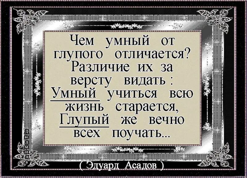 Расскажи глупый. Высказывания про умных и глупых людей. Умный человек и глупый человек. Цитаты про умных и глупых. Учиться всю жизнь цитаты.