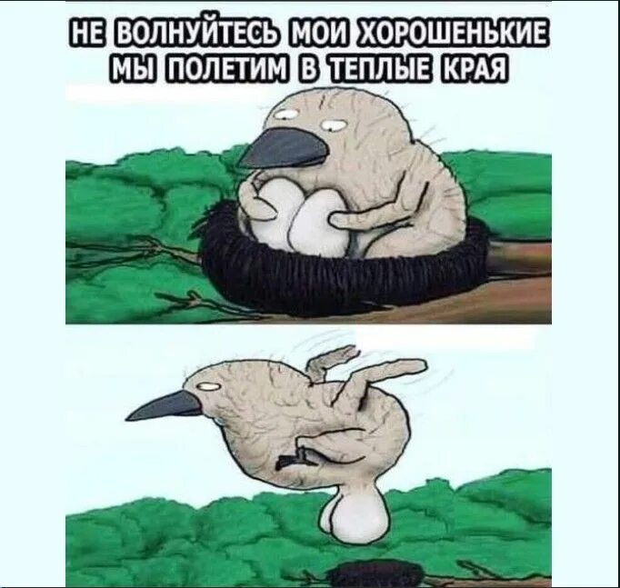 Приходи ко мне и полетели