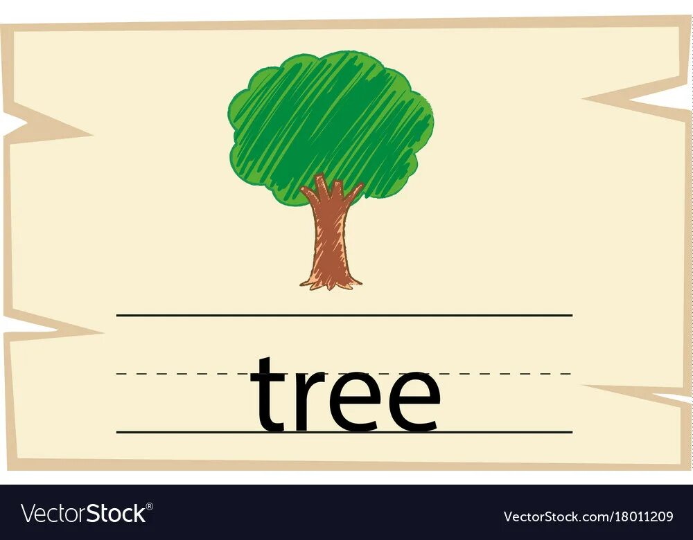 Tree words. Tree картинка на английском. Карточки по английскому слово дерево. Английские слова в картинках дерево. Tree слово рисунок.