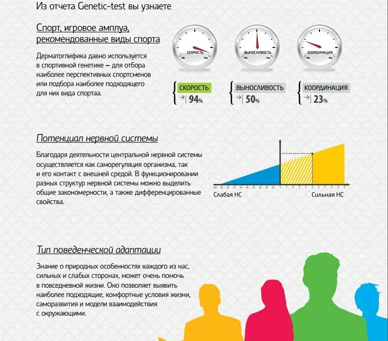 Генетическое тестирование это
