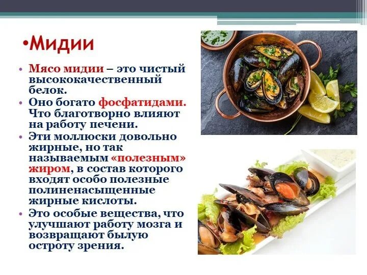 Сколько мидий можно. Съедобная часть мидии. Мясо мидий. Полезные вещества в мидиях. Мидии характеристика.