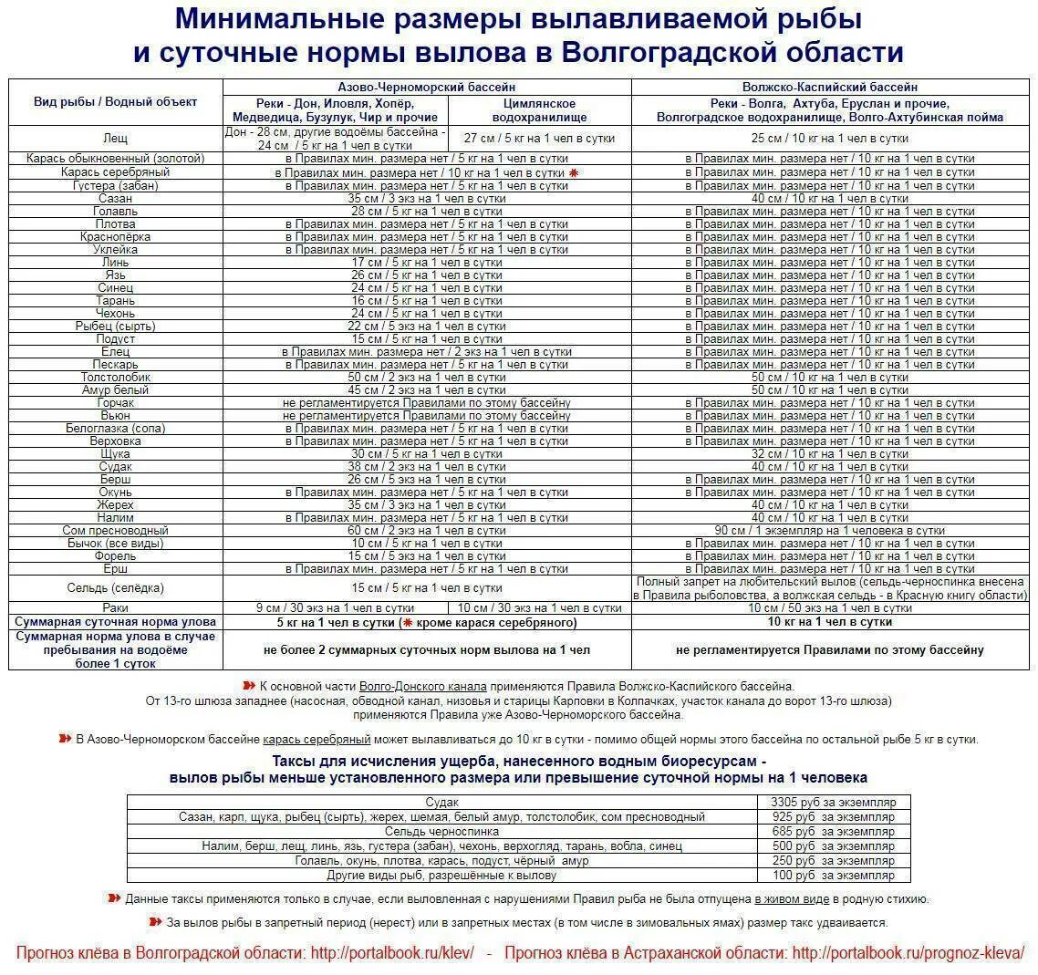 Правила любительского рыболовства в астраханской области. Таблица нормы вылова рыбы. Разрешенный размер рыбы для вылова в Волгоградской области 2020. Норма вылова и размер рыбы в Волгоградской области. Нормы и размер вылова рыбы в Астраханской области.
