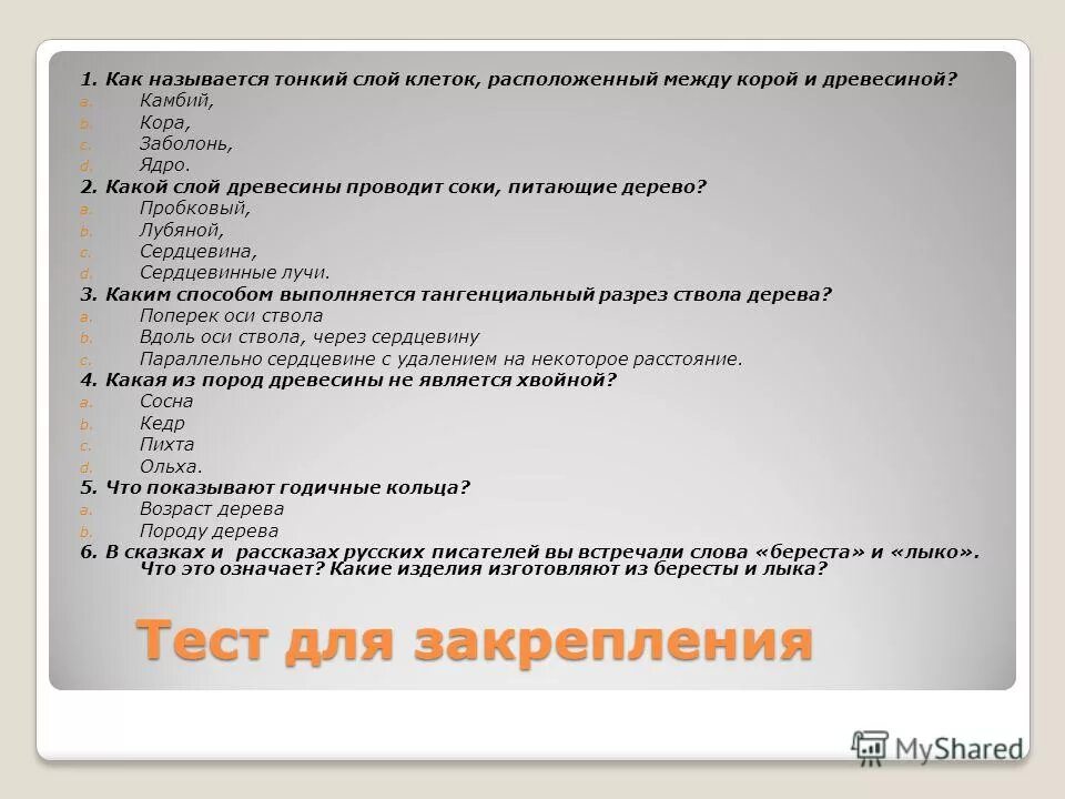 Расположение между корой и древесиной Чем отличается пихта от ели Feel Green Дзен