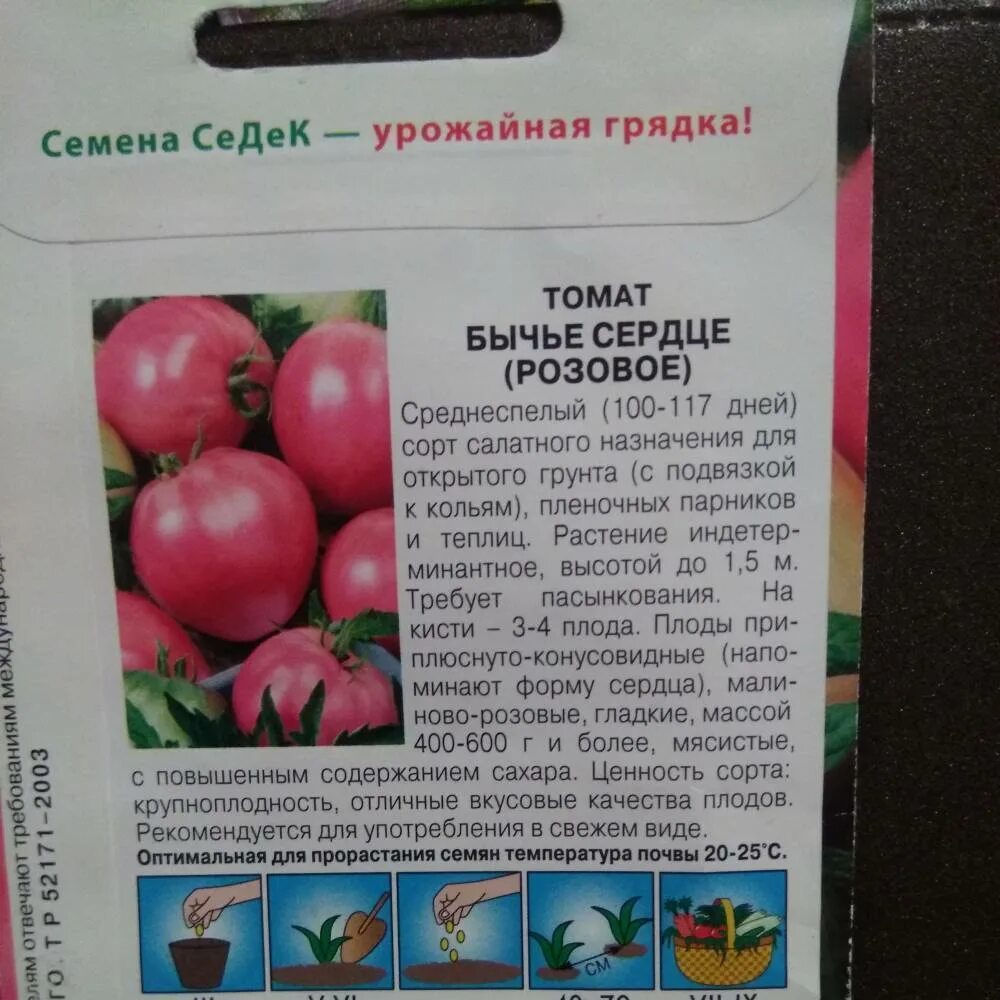 Сорт помидор Бычье сердце. Томат Воевода f1. Сорт томатов Бычье сердце. Помидоры Бычье сердце описание сорта. Сорт томата бычье сердце розовое