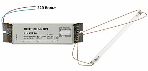 Вт 30 8