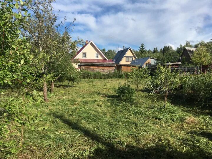 Погода в чепчихе. Деревня малокачаково. Чепчиха подмосковье. Погода в чепчихе. Погода в чепчихе.