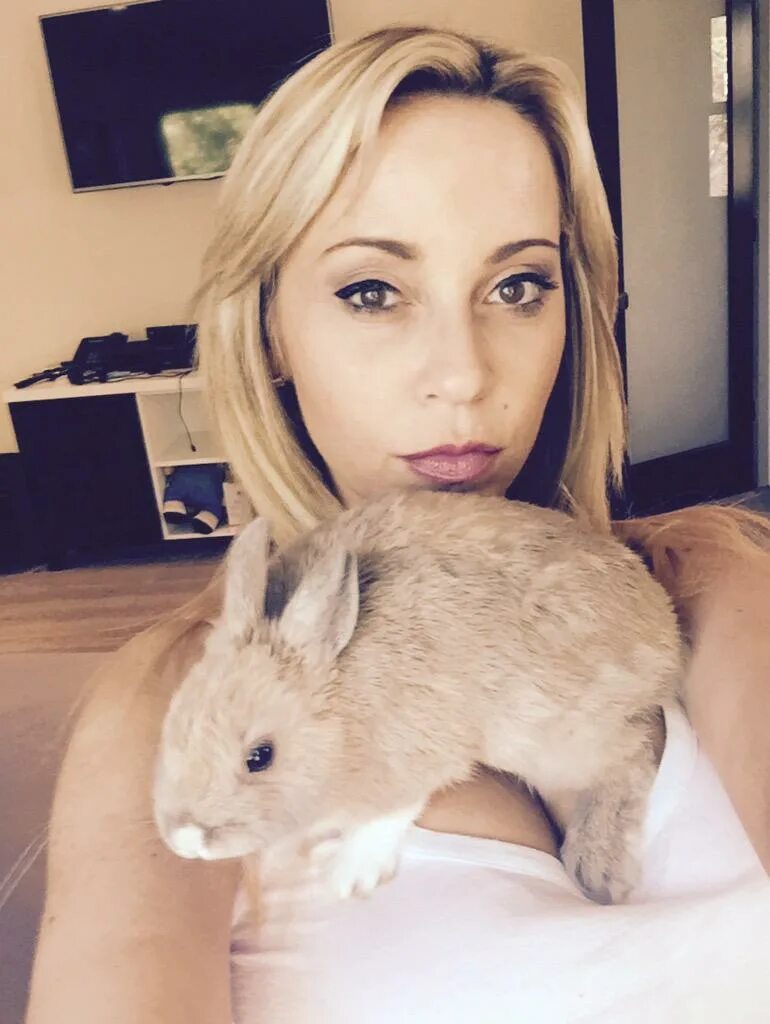 Cutey bunny. Bunny cuties. Bunny cuties. Bunny cuties. Рыжий зайчик.