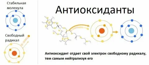 Нейтрализовать свободные радикалы