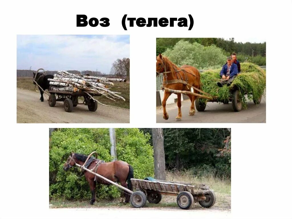 Жизнь по возу