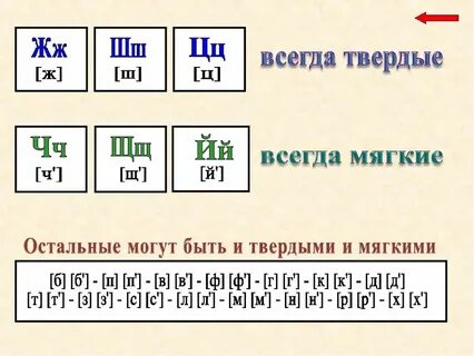 Правило по русскому языку 1 2