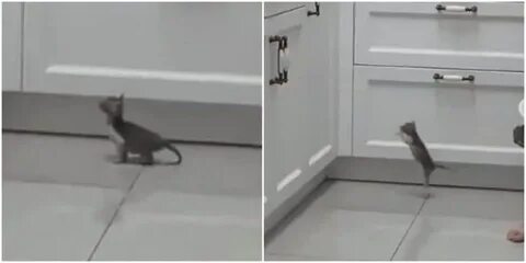 Она нелепо кувыркалась неуклюже прыгала