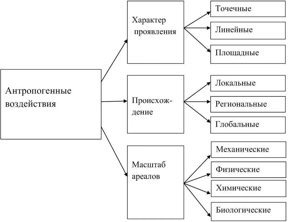 Антропогенные воздействия на окружающую природную среду. Классификация антропогенных воздействий. схема антропогенного воздействия на окружающую среду. классификация антропогенных воздействий на окружающую среду. составьте схему антропогенного воздействия на окружающую среду.