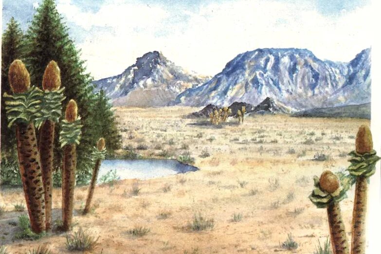 Меловой период кратко. Меловой период мезозойской эры растения. Меловой период климат. Мезозойская триасовый период. Мезозойская эра триасовый юрский.