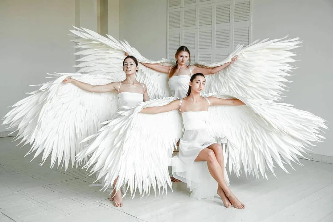 Could it wings