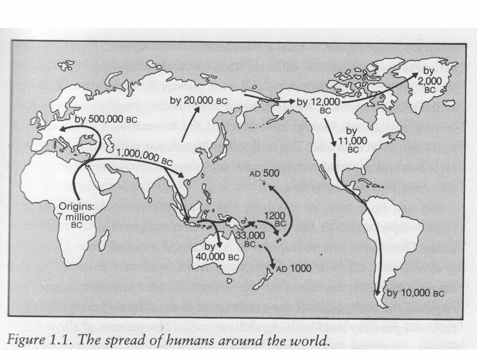 Расселение современного человека. Расселение древних людей по земному шару. Карта расселения людей по земному шару. Карта расселения человека разумного. Схема расселения человечества.