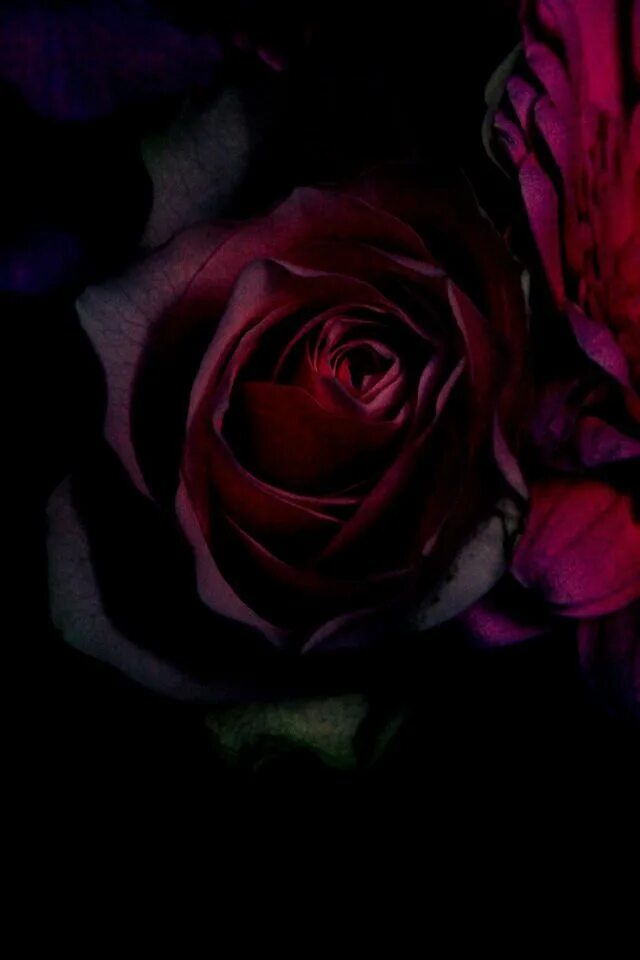 The dark flower