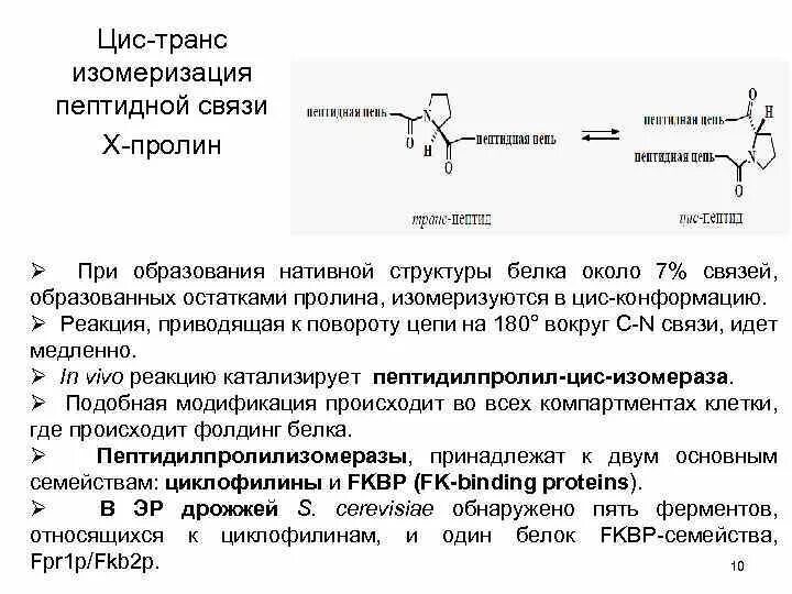 В образование участвуют пептидные связи. Цис транс конформация пептидной связи. Транс и цис пептидная связь. Белок пептидная связь. Реакция на пептидную связь.