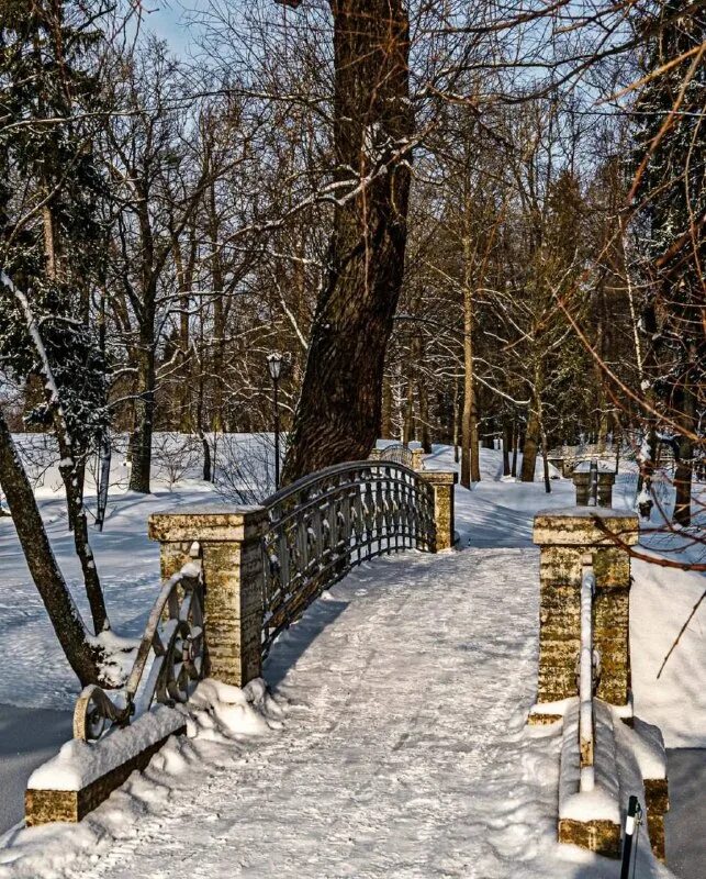 Значок дежурного по роте. Дежурный по ленобласти. Поликлиника в вартемягах ленобласть. Станция лужская пост гац. Дежурный по ленобласти.