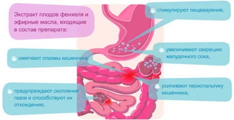 Болит живот у новорожденного что делать. Колики у младенца. Кишечные колики у новорожденных. Что такое колики у новорожденных. Газообразование в кишечнике колики.