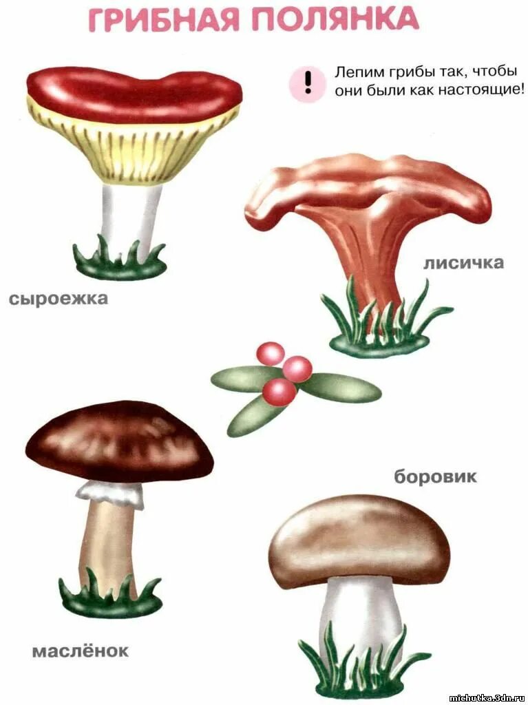 опята из пластилина. лепка грибы на поляне. грибочки из пластилина. поэтапная лепка грибов. как слепить съедобные грибы.