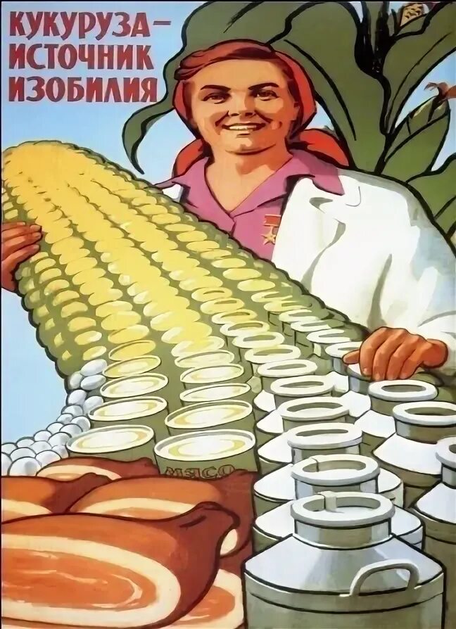 Кукуруза мем. Шутки про кукурузу. Кукуруза ворованная. Смешной баклажан. Кукуруза ворованная.