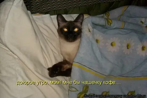 Я больше не скучаю