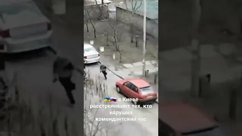 Видео расстрела в сити холл