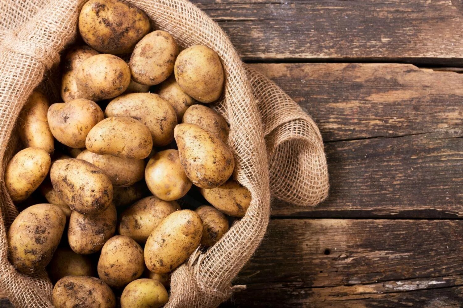 Свежий вид картофеля. Картофель свежий мокап. картофель мелкий картинка. potatoes in uganda. 20 potatoes a day.