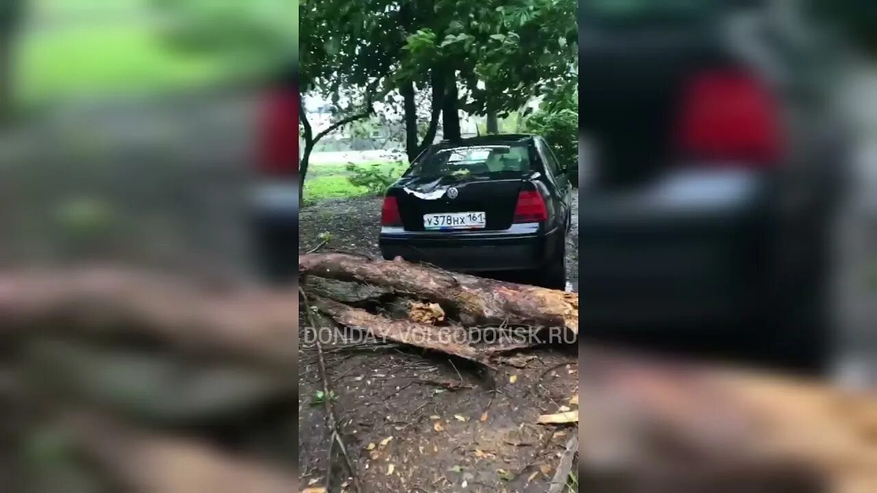 Ураган в городе. Покажите видео которое в деревья валит машина. Ураган тольятти. Сравните три ситуации ураганный ветер валит. Приколы про ветер.